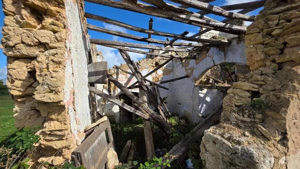 Rustico/Casale in vendita a Partinico - foto 4