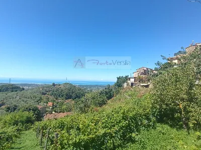Casa Indipendente in vendita a Pietrasanta - foto 1