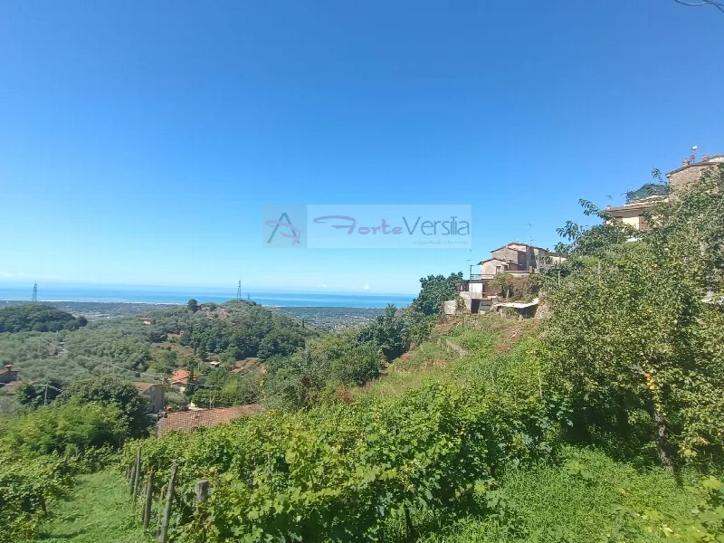 Casa Indipendente in vendita a Pietrasanta - foto 1