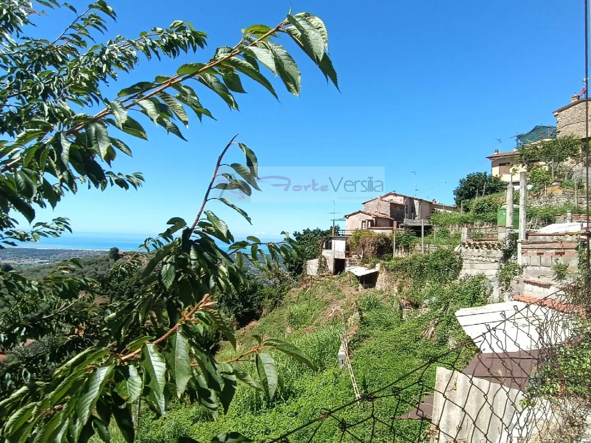 Casa Indipendente in vendita a Pietrasanta - foto 2