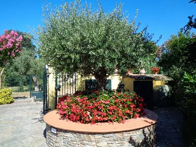 Villa in vendita a Montignoso - foto 10
