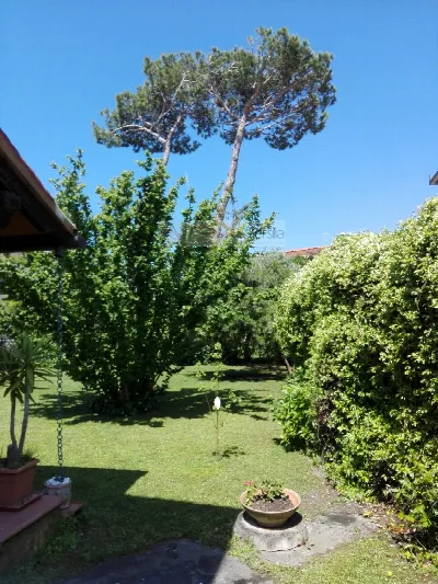 Villa in vendita a Forte dei Marmi - foto 2