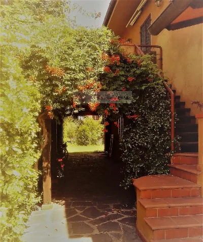 Villa in vendita a Forte dei Marmi - foto 5