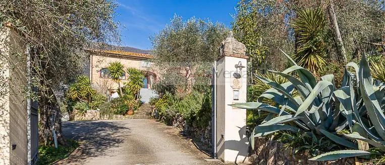 Rustico/Casale in vendita a Camaiore - foto 3