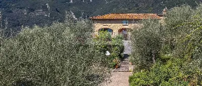Rustico/Casale in vendita a Camaiore - foto 8