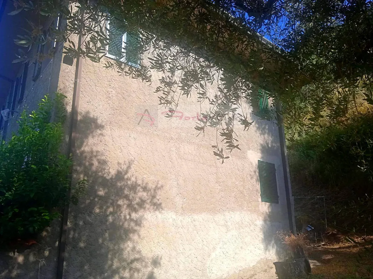 Rustico/Casale in vendita a Camaiore - foto 5