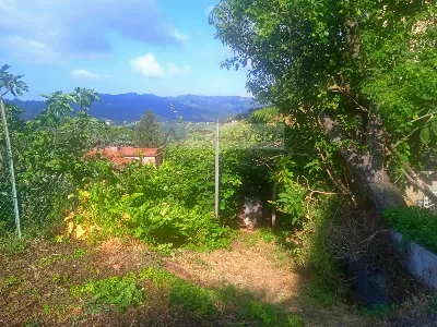 Rustico/Casale in vendita a Camaiore - foto 8