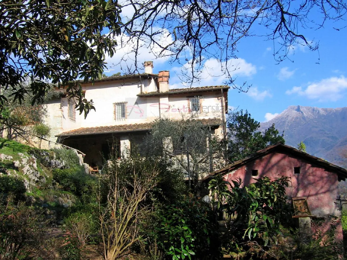 Villa in vendita a Camaiore - foto 4