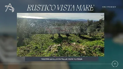 Rustico/Casale in vendita a Pietrasanta - foto 1