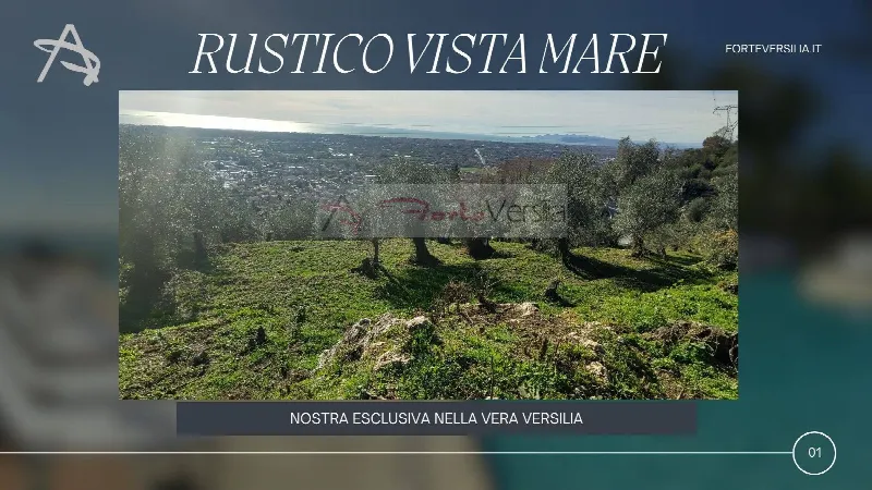 Rustico/Casale in vendita a Pietrasanta - foto 1