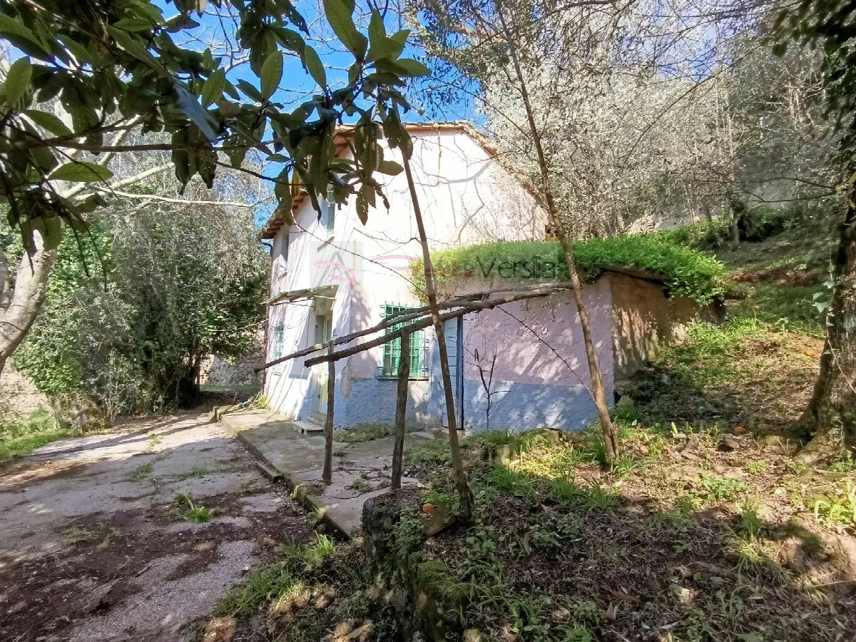 Rustico/Casale in vendita a Pietrasanta - foto 3