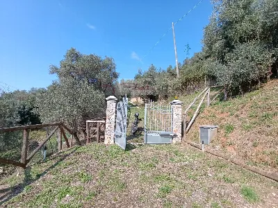 Rustico/Casale in vendita a Pietrasanta - foto 4