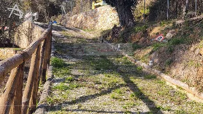Rustico/Casale in vendita a Pietrasanta - foto 5