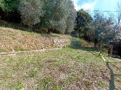 Rustico/Casale in vendita a Pietrasanta - foto 6