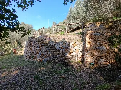 Rustico/Casale in vendita a Pietrasanta - foto 7