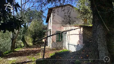Rustico/Casale in vendita a Pietrasanta - foto 9