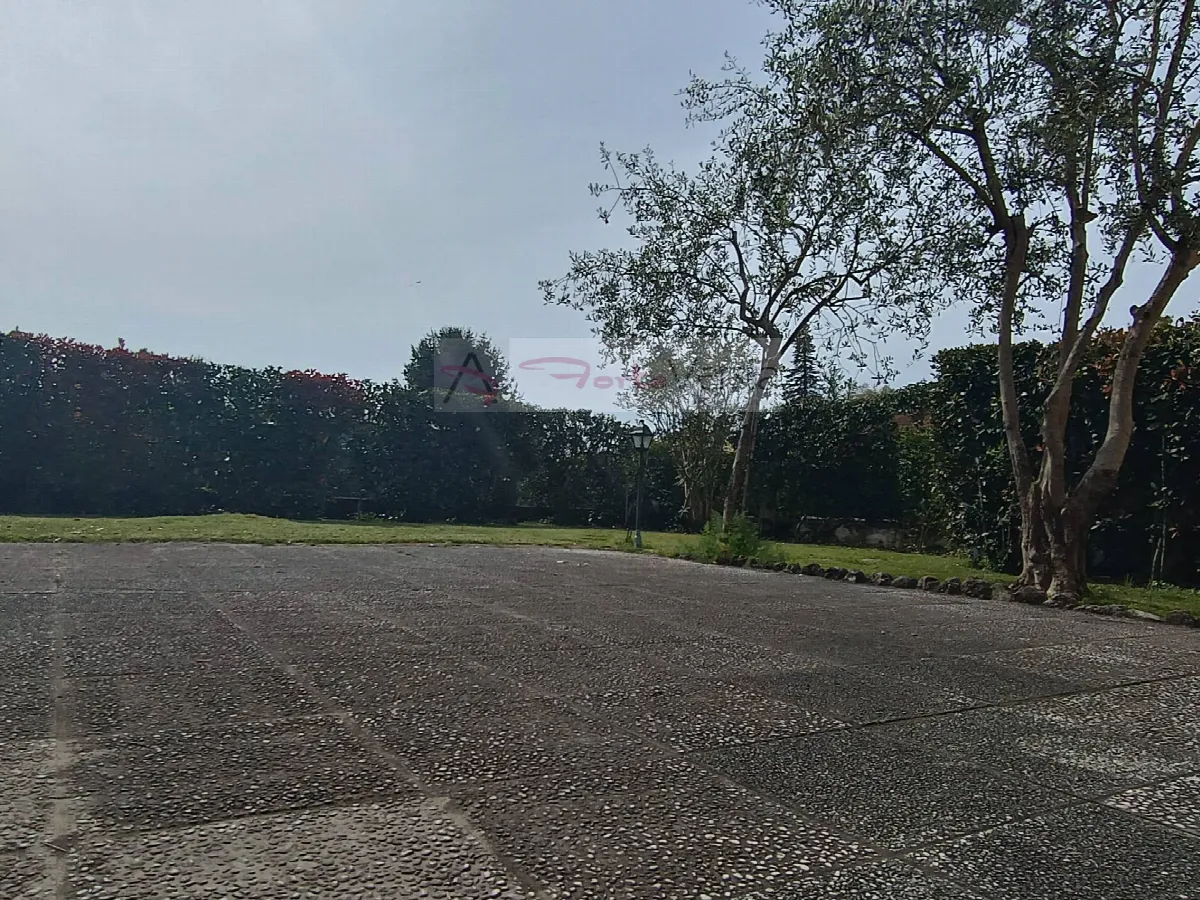 Villa in vendita a Pietrasanta - foto 5