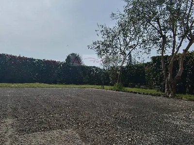 Villa in vendita a Pietrasanta - foto 5