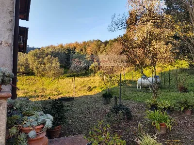 Rustico/Casale in vendita a Massarosa - foto 3