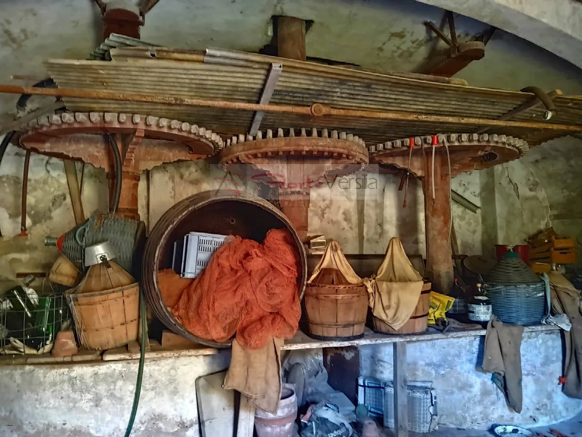 Rustico/Casale in vendita a Massarosa - foto 4