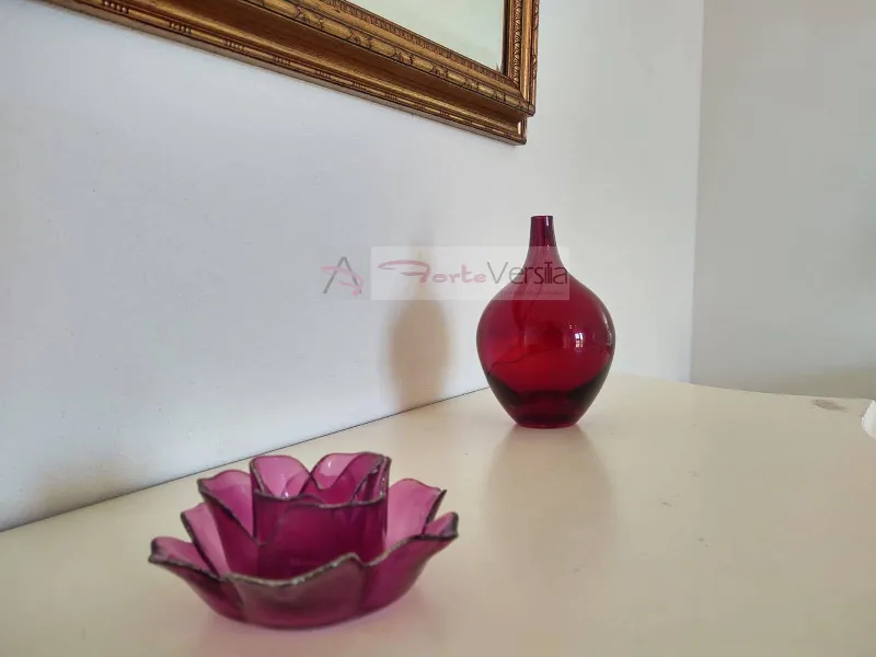 Villa in vendita a Pietrasanta - foto 1