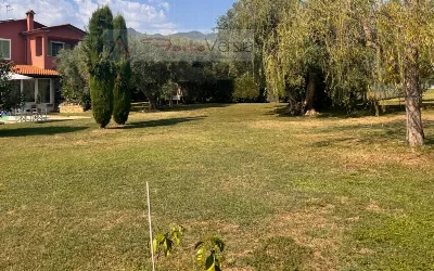 Villa in vendita a Seravezza - foto 5