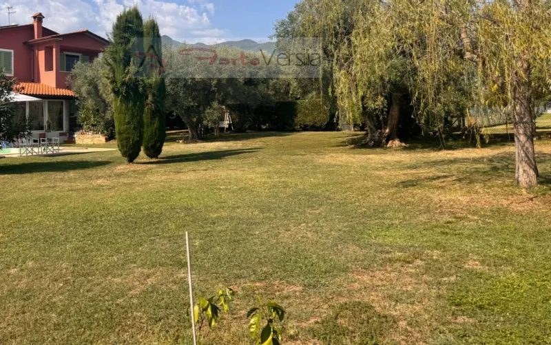 Villa in vendita a Seravezza - foto 5