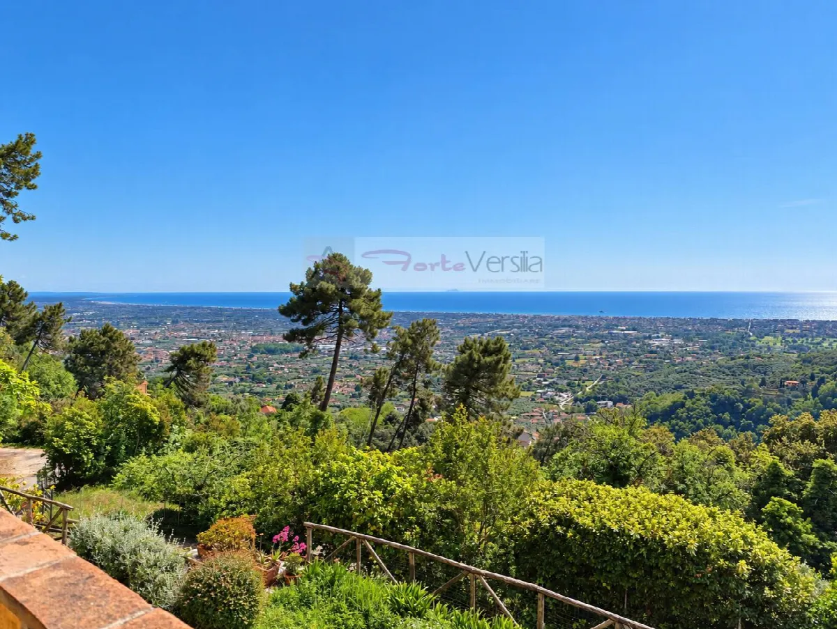 Villa in vendita a Pietrasanta - foto 3