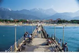Villa in vendita a Forte dei Marmi - foto 6