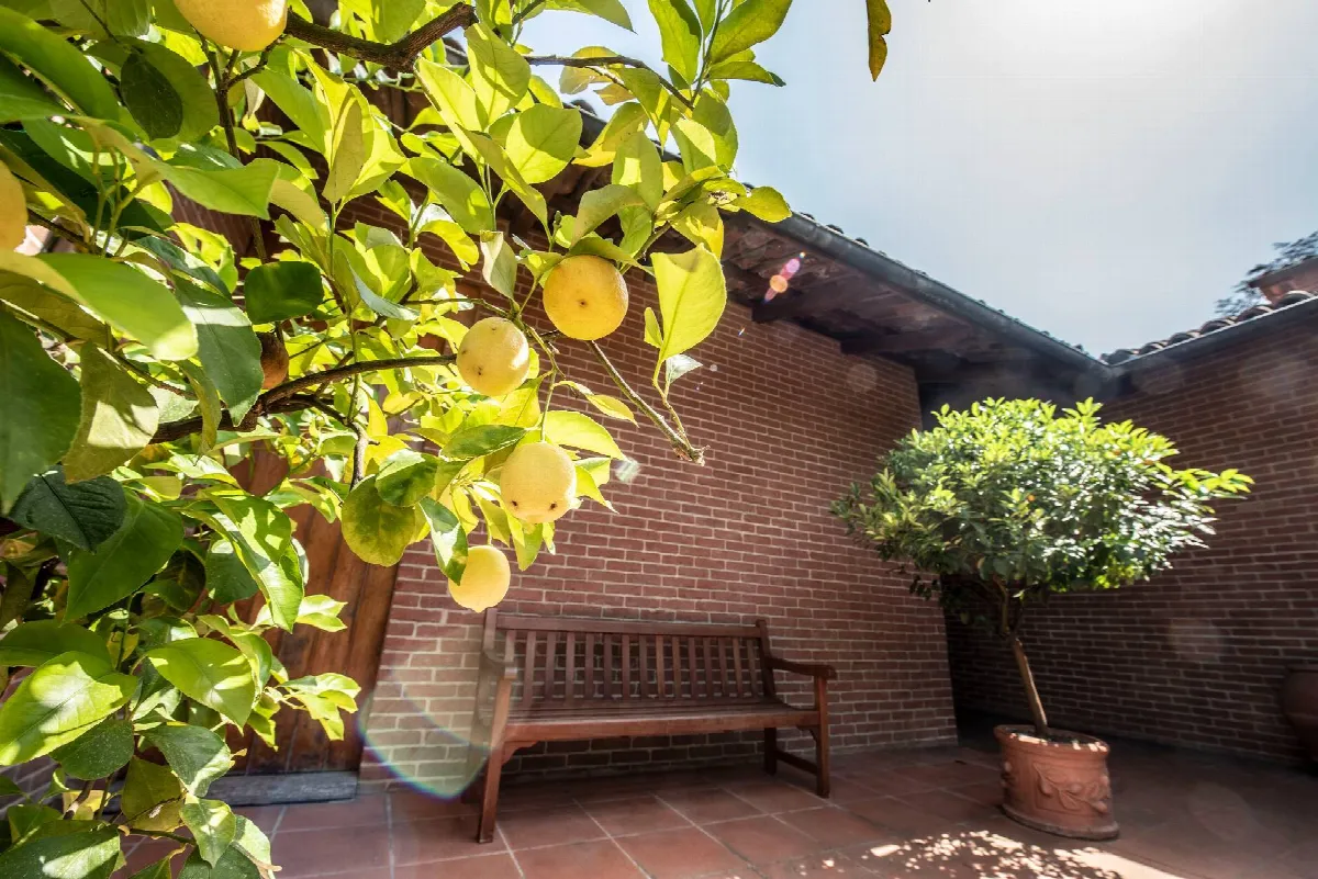 Villa in vendita a Montafia - foto 4