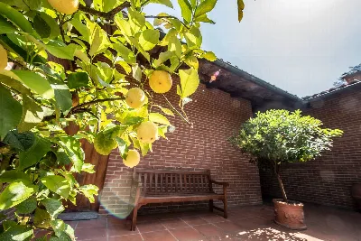 Villa in vendita a Montafia - foto 4