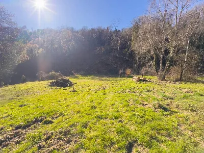 Rustico/Casale in vendita a Castagneto Po - foto 4