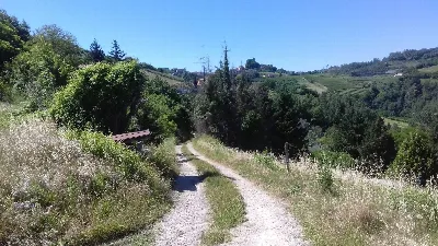 Rustico/Casale in vendita a Cassinasco - foto 10