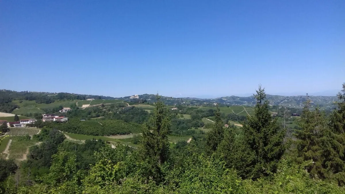 Rustico/Casale in vendita a Cassinasco - foto 2