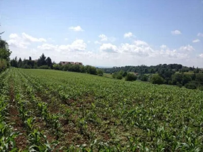 Rustico/Casale in vendita a Chieri - foto 5