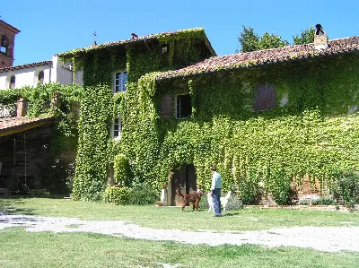 Rustico/Casale in vendita a Cocconato - foto 4