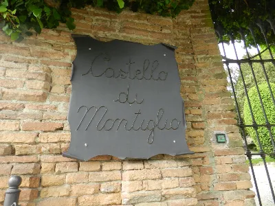 Palazzo/Stabile in vendita a Montiglio Mon... - foto 9