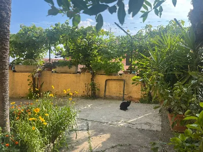 Rustico/Casale in vendita a Pino d'Asti - foto 9