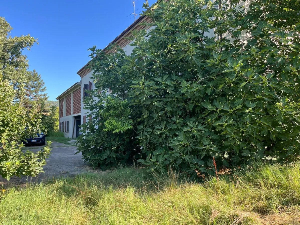 Rustico/Casale in vendita a Costigliole d'Asti - foto 4