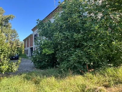 Rustico/Casale in vendita a Costigliole d'... - foto 4