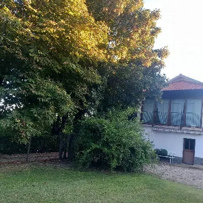 Rustico/Casale in vendita a Santo Stefano ... - foto 5