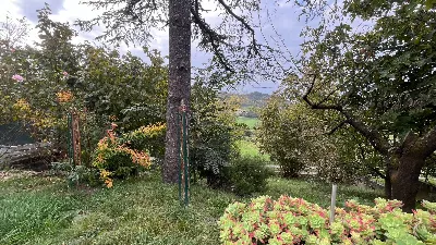 Rustico/Casale in vendita a Robella - foto 6
