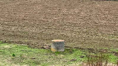 Rustico/Casale in vendita a Asti, Casabian... - foto 8