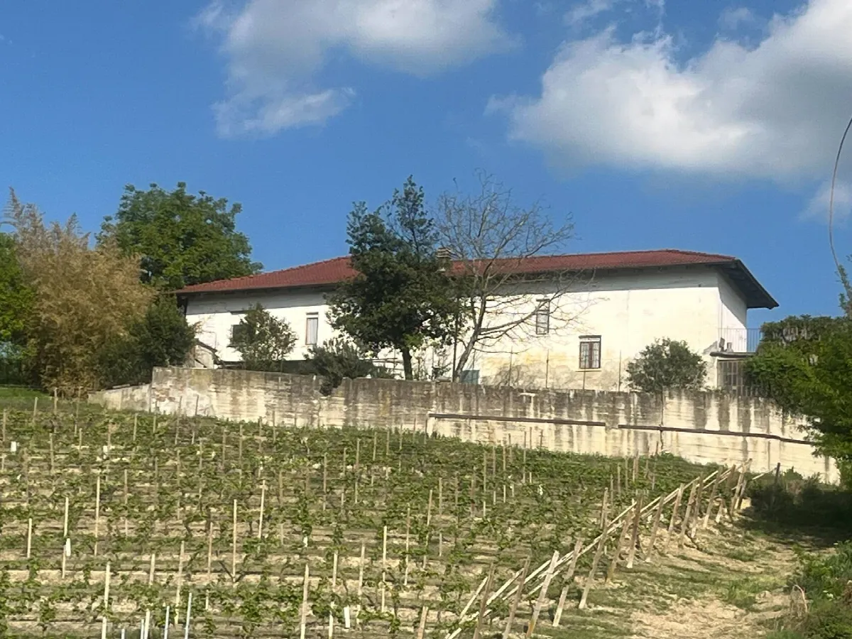 Rustico/Casale in vendita a Castagnole delle Lanze - foto 2