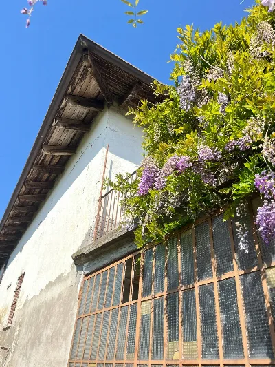 Rustico/Casale in vendita a Castagnole del... - foto 6
