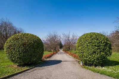 Villa in vendita a Torino, Colle Della Mad... - foto 4