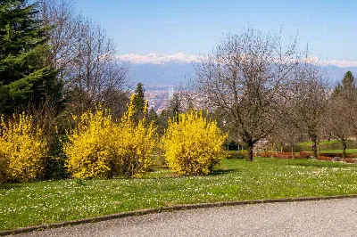 Villa in vendita a Torino, Colle Della Mad... - foto 5