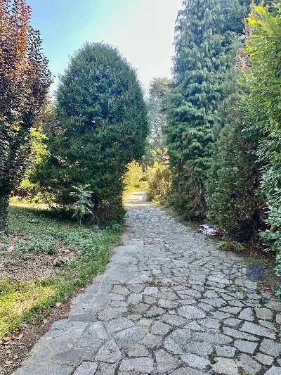 Villa in vendita a Pecetto Torinese - foto 5