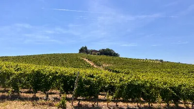Rustico/Casale in vendita a Canelli - foto 2