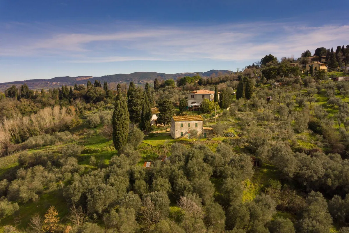 Rustico/Casale in vendita a Volterra - foto 2